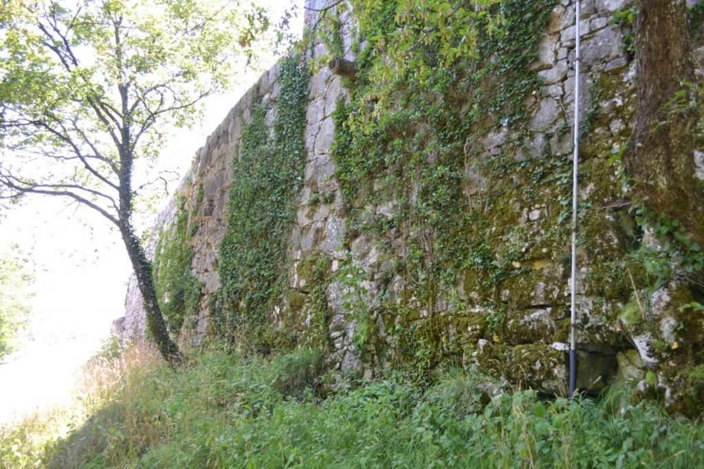 Edera e rampicanti coprivano tutto il muro di cinta della rocca di Monrupino