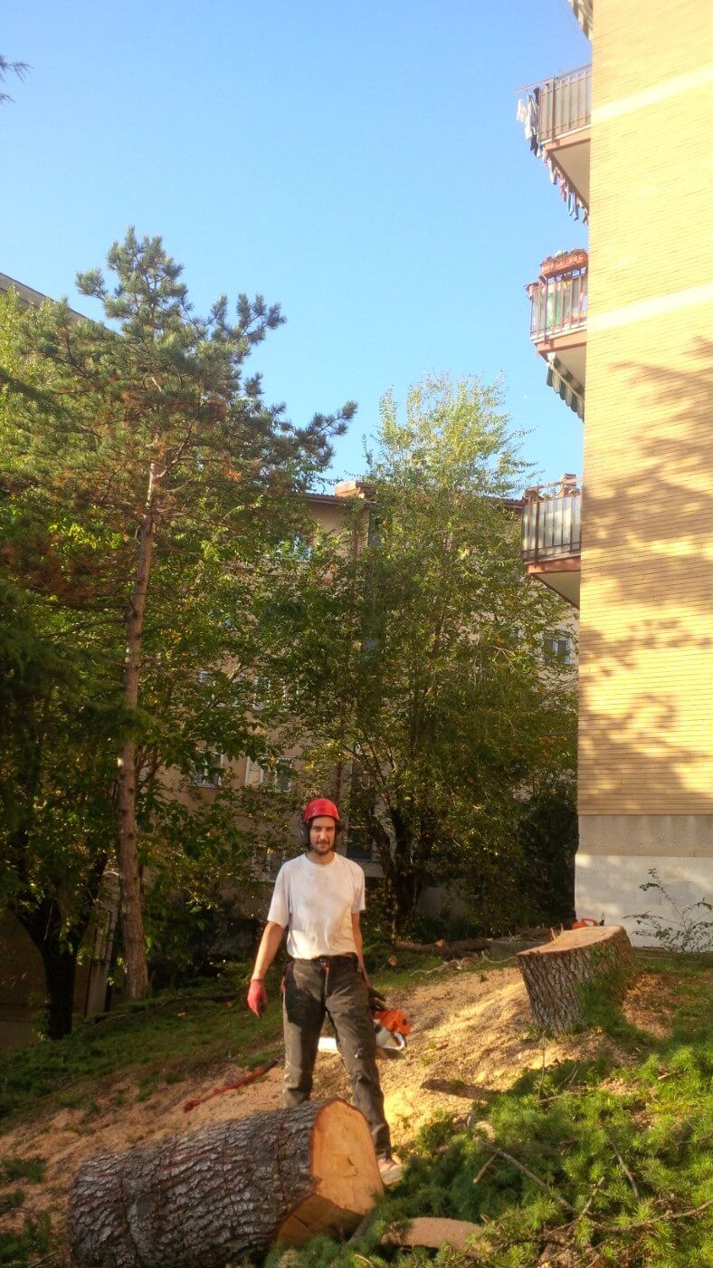 Il nostro arboricoltore Mattia Garassich Garbellotto ad abbattimento terminato